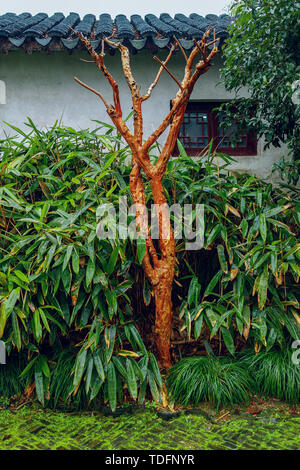 Huqiu Mountain Scenic Area, Suzhou Stockfoto