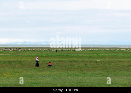 Ein schwaches Gedächtnis des Plateaus. Stockfoto