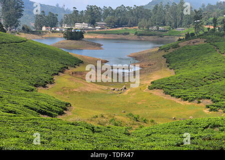 Meghamalai Fluss und Hohe Berge wellig Stockfoto