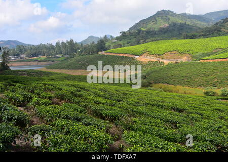 Meghamalai Hohe gewellter Berge - Das versteckte Paradies Stockfoto