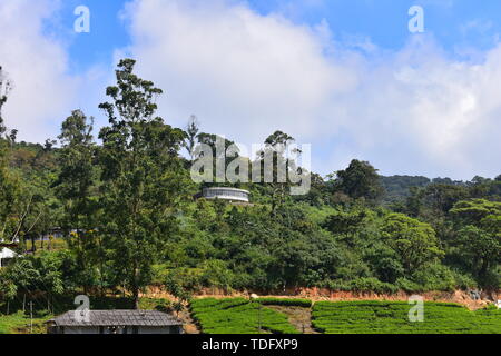 Meghamalai Hohe gewellter Berge - Das versteckte Paradies Stockfoto