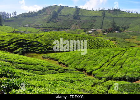 Meghamalai Hohe gewellter Berge - Das versteckte Paradies Stockfoto