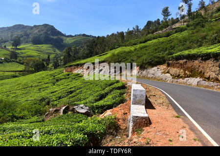 Meghamalai Hohe gewellter Berge - Das versteckte Paradies Stockfoto