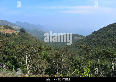 Blick auf das Tal von Cumbam Meghamalai Hügeln in Tamil Nadu Stockfoto