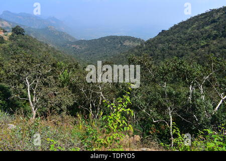 Blick auf das Tal von Cumbam Meghamalai Hügeln in Tamil Nadu Stockfoto