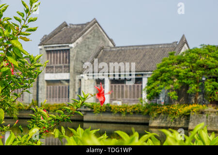 Lingnan Architektur, Lingnan Impressionen Garten, Panyu, Guangzhou Stockfoto