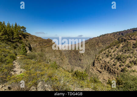 Steinigen weg im Hochland von Pinien am sonnigen Tag umgeben. Klar lue Sky und einige Wolken am Horizont. Rocky tracking Straße in trockenen Berg Stockfoto