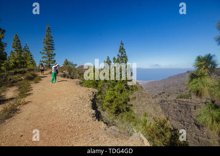 Steinigen weg im Hochland von Pinien am sonnigen Tag umgeben. Klar lue Sky und einige Wolken am Horizont. Rocky tracking Straße in trockenen Berg Stockfoto