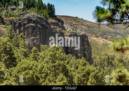 Bergen, Pinien Wald über den Wolken. La Orotava Tal und North Coast Line auf Teneriffa. 1800 m Höhe. Kanarische Inseln, Spanien. Stockfoto