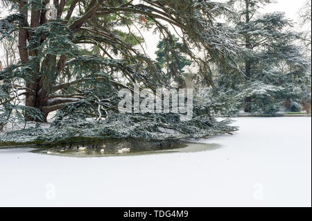 Rohöl Park im Winter in Paris, Frankreich Stockfoto