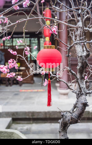 Antike Architektur von Du Fu Caotang in Chengdu, China Stockfoto