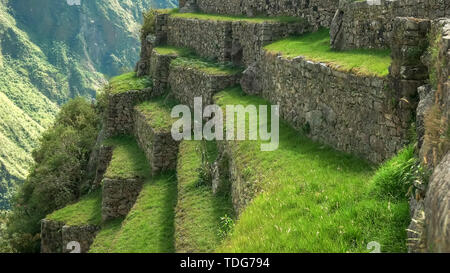 Von Gras wachsen auf Terrassen in Machu Picchu, Peru's berühmteste Touristenattraktion Stockfoto