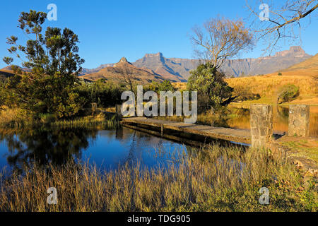 Malerische Teich vor dem Hintergrund der Drakensberge, Royal Natal National Park, Südafrika Stockfoto