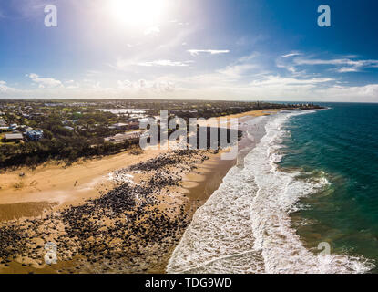 Antenne drone Ansicht von Bargara Beach und Umgebung, Queensland, Australien Stockfoto