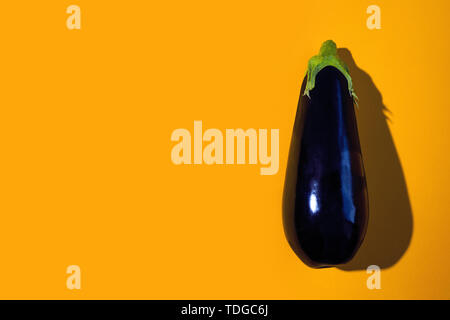 Hell Dunkel Violett Aubergine mit harten Schatten auf gelbem Hintergrund Stockfoto