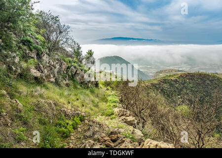 Steinigen weg im Hochland von Pinien am sonnigen Tag umgeben. Klar lue Sky und einige Wolken am Horizont. Rocky tracking Straße in trockenen Berg Stockfoto