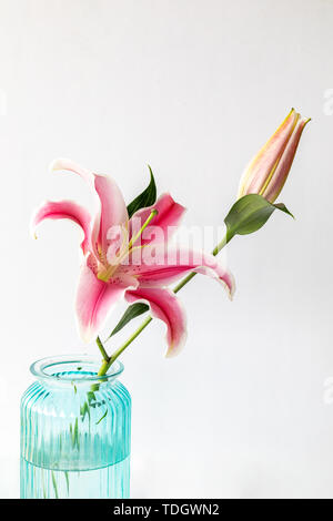 Lilien in blauer Vase auf weißem Hintergrund Stockfoto