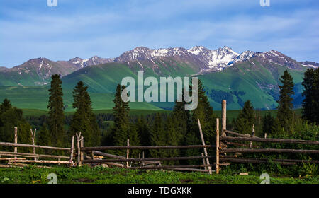 Landschaft von Tangbra Prairie in Xinjiang Stockfoto