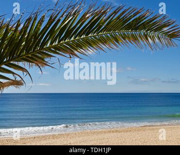 Schönes Paradies Strand am Ozean rund um Albufeira an der Algarve in Portugal Stockfoto