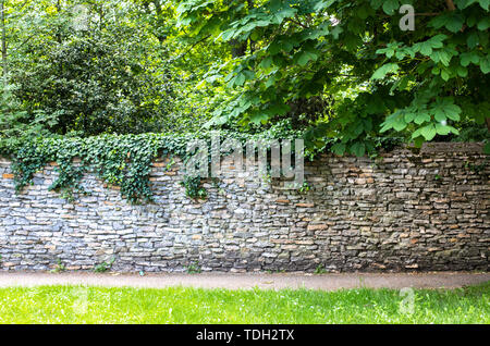 Steinmauer begrünt. Grüne Dickicht hinter der Wand. Der Weg entlang der Wand unter den viel Grün. Stone Fence in mittelalterlichem Stil Stockfoto