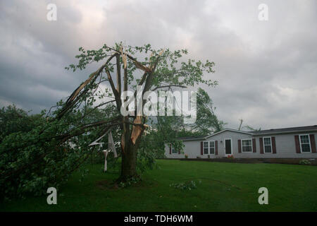 Ellettsville, USA. 15 Juni, 2019. Ein Baum ist nach einem Tornado am Mt Struck beschädigt. Tabor Straße an der Kreuzung von West Cowden Rd. in der Nähe von Ellettsville. der tornado mehrere Häuser zerstört, riss Bäume und Links Gefährlich leben Stromleitungen in der Gegend verstreut. Credit: SOPA Images Limited/Alamy leben Nachrichten Stockfoto