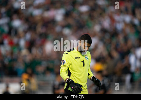 Los Angeles, USA. 15 Juni, 2019. Goalie, Sandy Sanchez von Kuba reagiert während der 2019 Verband der Nord, Mittelamerika und Karibik Association Football (CONCACAF) Gold Cup zwischen Mexiko und Kuba in Pasadena, Los Angeles, USA, 15. Juni 2019. Credit: Qian Weizhong/Xinhua/Alamy leben Nachrichten Stockfoto