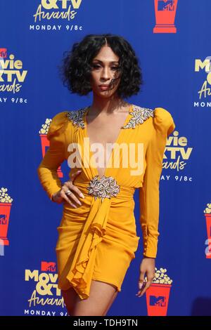 Los Angeles, CA, USA. 15 Juni, 2019. LOS ANGELES - Jun 15: MJ Rodriguez an der 2019 MTV Movie & TV Auszeichnungen bei den Barker Hangar am 15. Juni 2019 in Santa Monica, CA bei der Ankunft für 2019 MTV Movie und TV Awards, Barker Hangar, Los Angeles, CA 15 Juni, 2019. Credit: Priscilla Grant/Everett Collection/Alamy leben Nachrichten Stockfoto