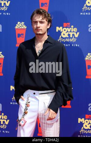 Los Angeles, CA, USA. 15 Juni, 2019. LOS ANGELES - 15.Juni: Brandon Thomas Lee im 2019 MTV Movie & TV Auszeichnungen bei den Barker Hangar am 15. Juni 2019 in Santa Monica, CA bei der Ankunft für 2019 MTV Movie und TV Awards - Teil 2, Barker Hangar, Los Angeles, CA 15 Juni, 2019. Credit: Priscilla Grant/Everett Collection/Alamy leben Nachrichten Stockfoto