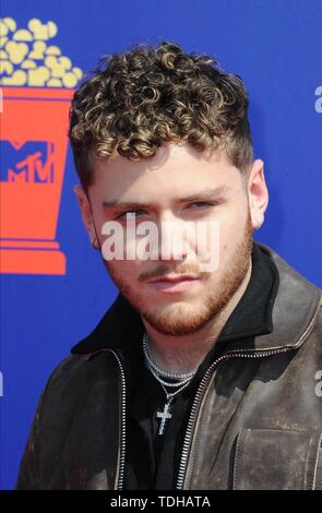 Los Angeles, USA. 16. Juni 2019. Bazzi besucht die 2019 MTV Movie & TV Auszeichnungen bei Barker Hangar in Los Angeles, USA, am 15. Juni 2019. | Verwendung der weltweiten Kredit: dpa Picture alliance/Alamy leben Nachrichten Stockfoto