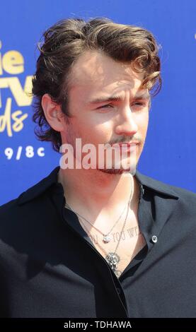 Los Angeles, USA. 16. Juni 2019. Brandon Thomas Lee besucht die 2019 MTV Movie & TV Auszeichnungen bei Barker Hangar in Los Angeles, USA, am 15. Juni 2019. | Verwendung der weltweiten Kredit: dpa Picture alliance/Alamy leben Nachrichten Stockfoto