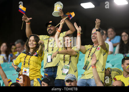 15. Juni 2019, Arena Fonte Nova, Salvador, Bahia, Brasilien; Copa America Internationales Fußballturnier, Argentinien und Kolumbien; Fans von Kolumbien Stockfoto