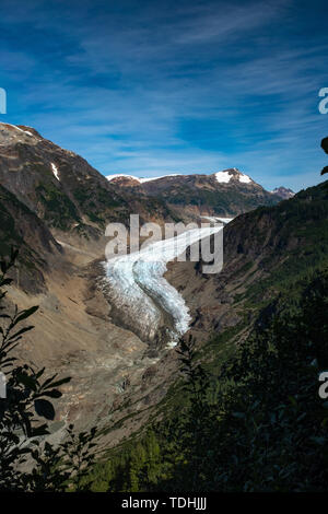 Einen weiten Blick durch die Bäume im Vordergrund der Leiter der majestätischen Salmon Glacier, British Columbia, Kanada umrahmt, schönen blauen Himmel, niemand Ich Stockfoto