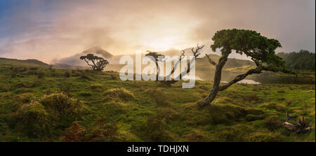 Azoren Wacholder Lagoa do Capitao gegen die Wolken in der Nähe der Berg Pico, São Roque Pico die Insel Pico, Azoren, Portugal Stockfoto