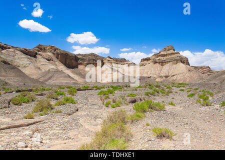 Die karge Wüste Gobi durch die Doku Road Stockfoto