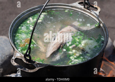 Köstlich frischer Fisch Lachs rot-Suppe in große Bowler am Lagerfeuer im Freien gekocht. Kochen auf Feuer beim Picknick auf sonnigem Sommerwetter. Stockfoto