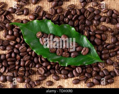 Geröstete Kaffeebohnen mit lassen auf Linin Sack Stockfoto