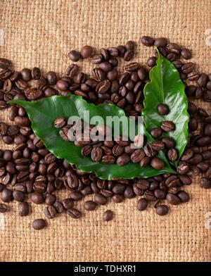 Geröstete Kaffeebohnen mit lassen auf Linin Sack Stockfoto