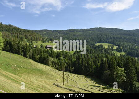 Kärnten, Ernte, Heuernte, Maht, Bergbauer, Hügel, Berge, Alpen, Landwirtschaft, Haus, Landstraße, Bergstraße, Gerlitzen, Gerlitzenstraße, Nockberge, G Stockfoto