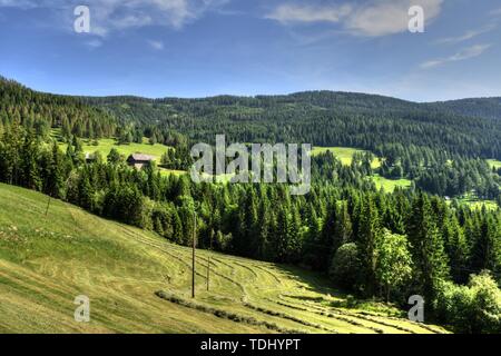 Kärnten, Ernte, Heuernte, Maht, Bergbauer, Hügel, Berge, Alpen, Landwirtschaft, Haus, Landstraße, Bergstraße, Gerlitzen, Gerlitzenstraße, Nockberge, G Stockfoto