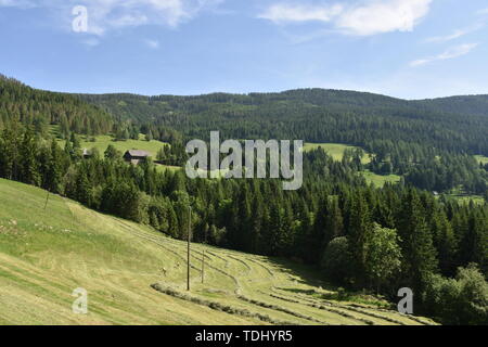 Kärnten, Ernte, Heuernte, Maht, Bergbauer, Hügel, Berge, Alpen, Landwirtschaft, Haus, Landstraße, Bergstraße, Gerlitzen, Gerlitzenstraße, Nockberge, G Stockfoto