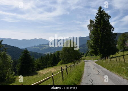 Kärnten, Ernte, Heuernte, Maht, Bergbauer, Hügel, Berge, Alpen, Landwirtschaft, Haus, Landstraße, Bergstraße, Gerlitzen, Gerlitzenstraße, Nockberge, G Stockfoto