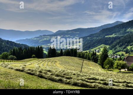 Kärnten, Ernte, Heuernte, Maht, Bergbauer, Hügel, Berge, Alpen, Landwirtschaft, Haus, Landstraße, Bergstraße, Gerlitzen, Gerlitzenstraße, Nockberge, G Stockfoto