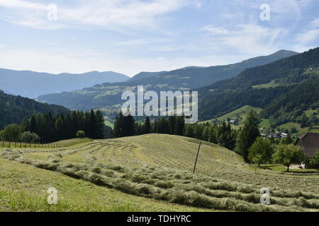 Kärnten, Ernte, Heuernte, Maht, Bergbauer, Hügel, Berge, Alpen, Landwirtschaft, Haus, Landstraße, Bergstraße, Gerlitzen, Gerlitzenstraße, Nockberge, G Stockfoto