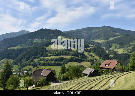 Kärnten, Ernte, Heuernte, Maht, Bergbauer, Hügel, Berge, Alpen, Landwirtschaft, Haus, Landstraße, Bergstraße, Gerlitzen, Gerlitzenstraße, Nockberge, G Stockfoto