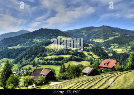 Kärnten, Ernte, Heuernte, Maht, Bergbauer, Hügel, Berge, Alpen, Landwirtschaft, Haus, Landstraße, Bergstraße, Gerlitzen, Gerlitzenstraße, Nockberge, G Stockfoto