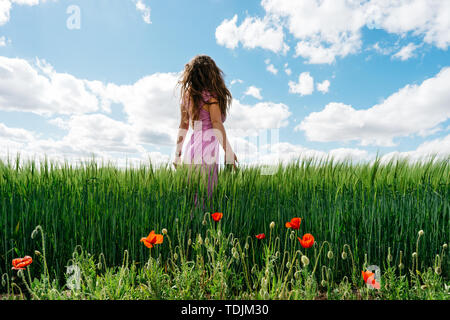 Langhaarige Frau im rosa Kleid auf einem Feld von grüner Weizen und Wild. Mohn Stockfoto