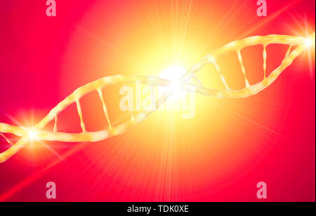 DNA Desoxyribonukleinsäure ist ein thread-wie-Kette von Nukleotiden, die genetischen Anweisungen für das Wachstum verwendet, Entwicklung. Dna-helix Stockfoto