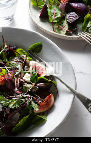 Ein Salat aus gerösteten, rote Rüben, Karotten und Lila Lila Zwiebeln, mit frischen Feigen, gemischt Blätter und microherbs, bestreut mit Feta Käse auf zwei Hand gemacht Stockfoto