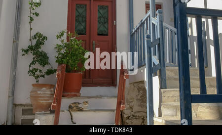 Weite Einstellung auf eine Katze auf Haus Schritte in einer Gasse von Mykonos, Griechenland Stockfoto