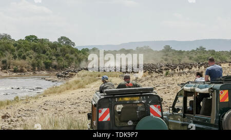 Touristen in 4WD Fahrzeuge ansehen Gnus am Mara Fluss in der Masai Mara Game Reserve Massing, Kenia Stockfoto